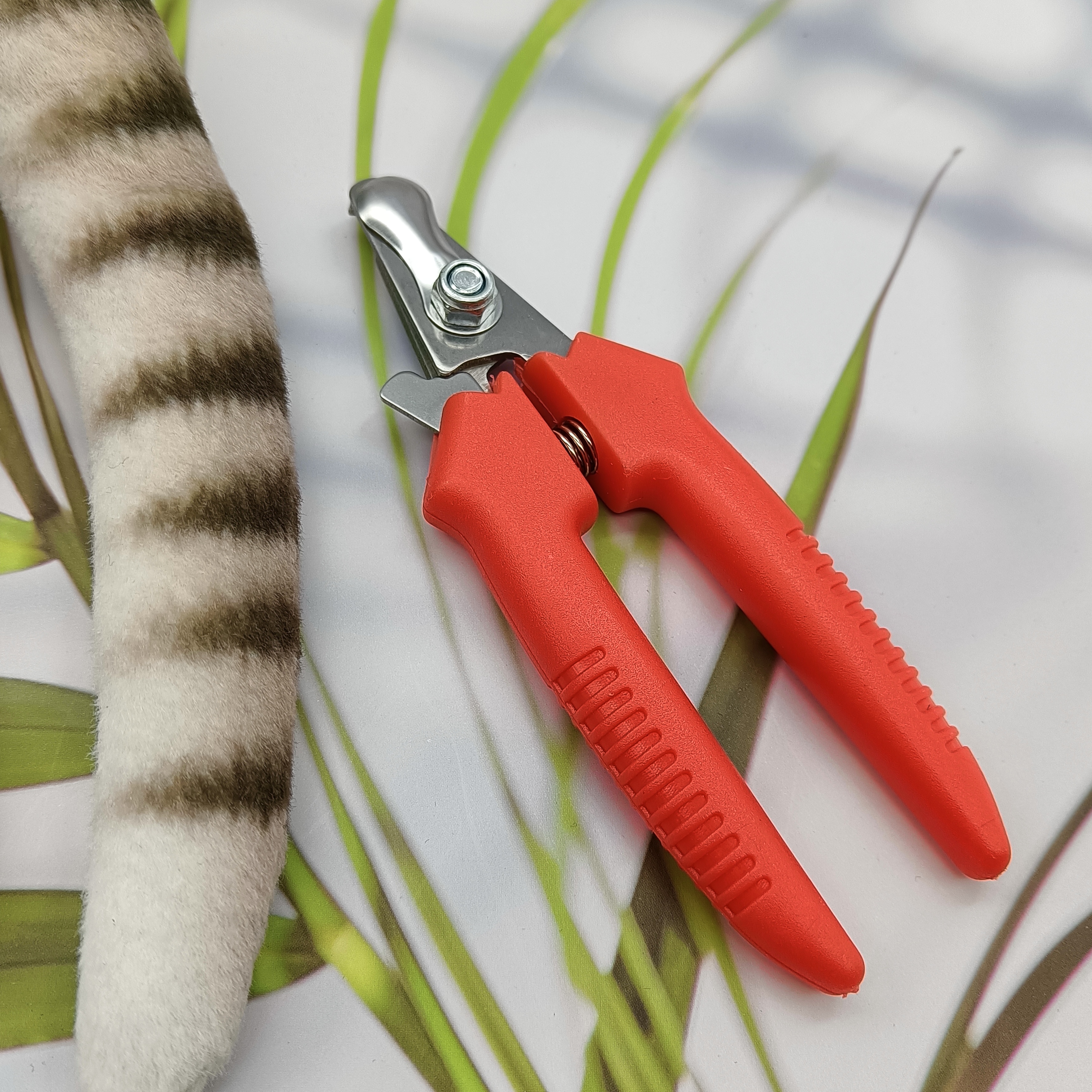 image of Pet Scissors/Nail File/Comb