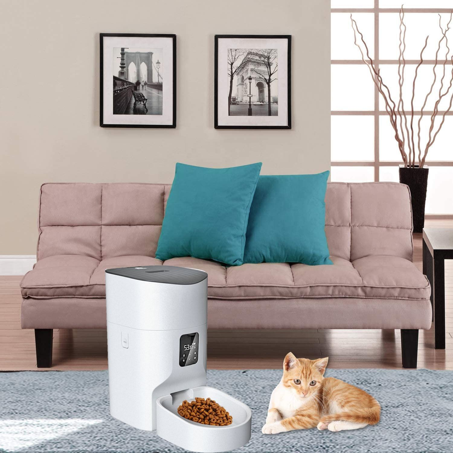 Indoor 7L Large Capacity App Camera Cat Dog Bowls 1080P Real-Time Video Automatic Pet feeder